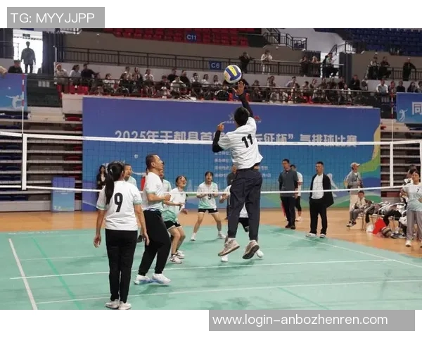 2026年3月份新闻广州排球队的节奏与激情探索排球运动的魅力与发展之路